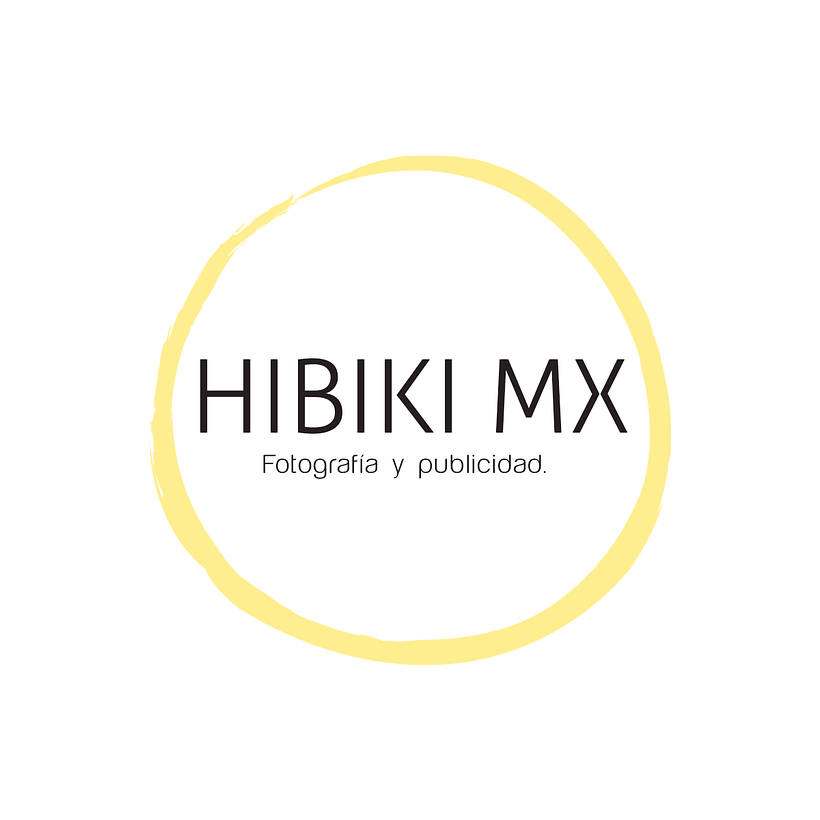 Hibiki mx 6