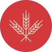 Mi proyecto del curso: Introducción al Desarrollo Web Responsive con HTML y CSS 9