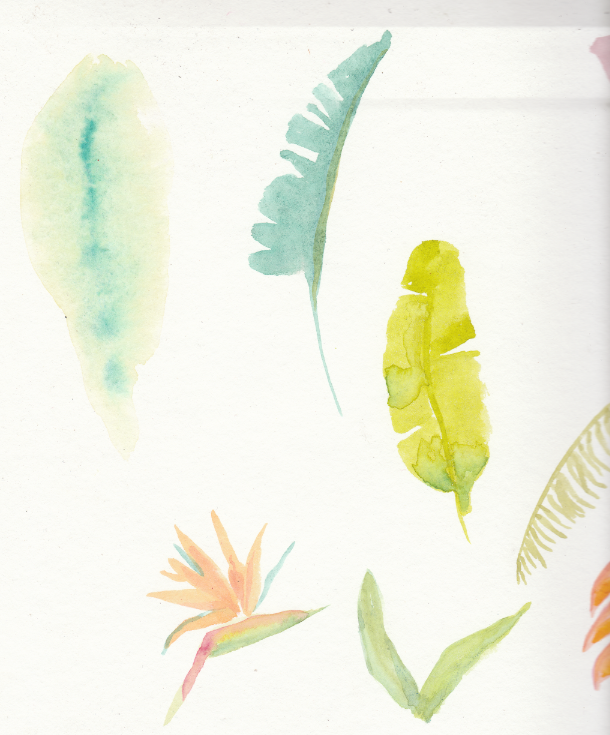 Mi proyecto del curso: Retrato ilustrado en acuarela 5