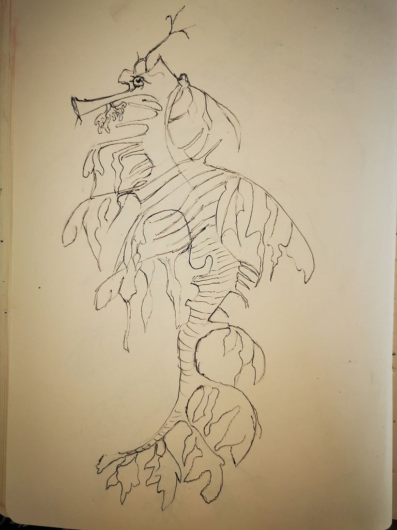 Initial sketch of a leaf seahorse 