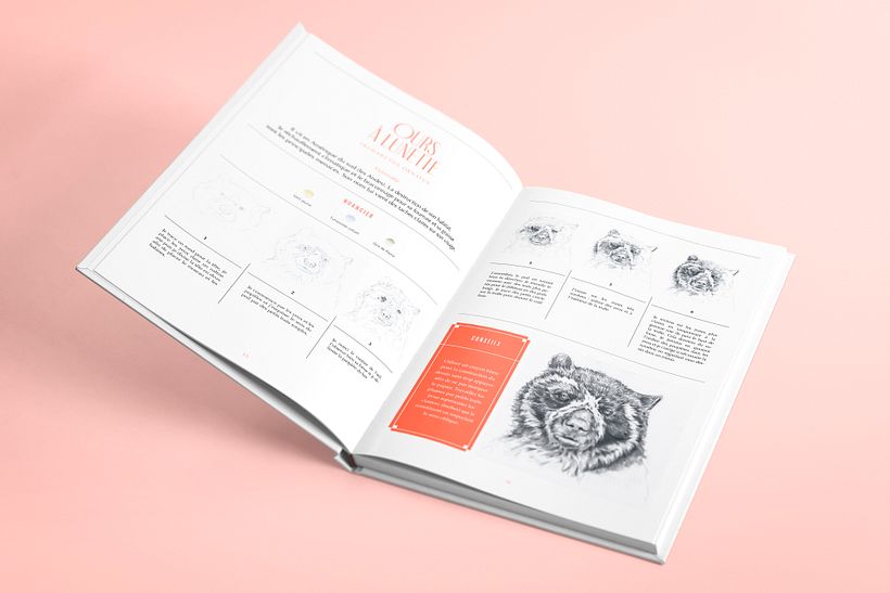 Direction éditoriale coll. Artiste Académie et Beaux-Arts pour la Terre 1