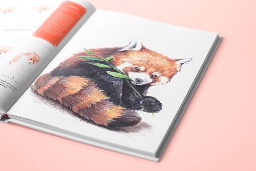 Direction éditoriale coll. Artiste Académie et Beaux-Arts pour la Terre 2