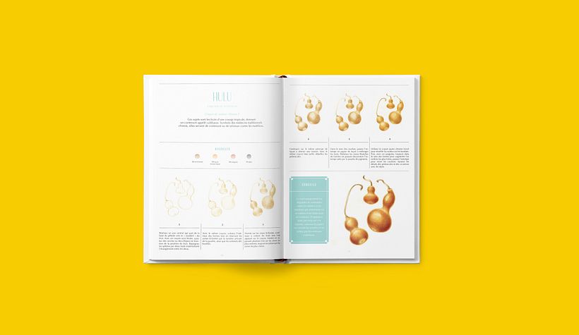 Direction éditoriale coll. Artiste Académie et Beaux-Arts pour la Terre 3