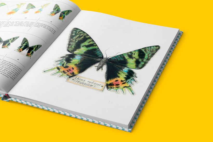 Direction éditoriale coll. Artiste Académie et Beaux-Arts pour la Terre 4