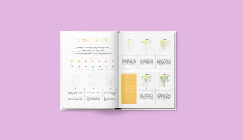 Direction éditoriale coll. Artiste Académie et Beaux-Arts pour la Terre 5