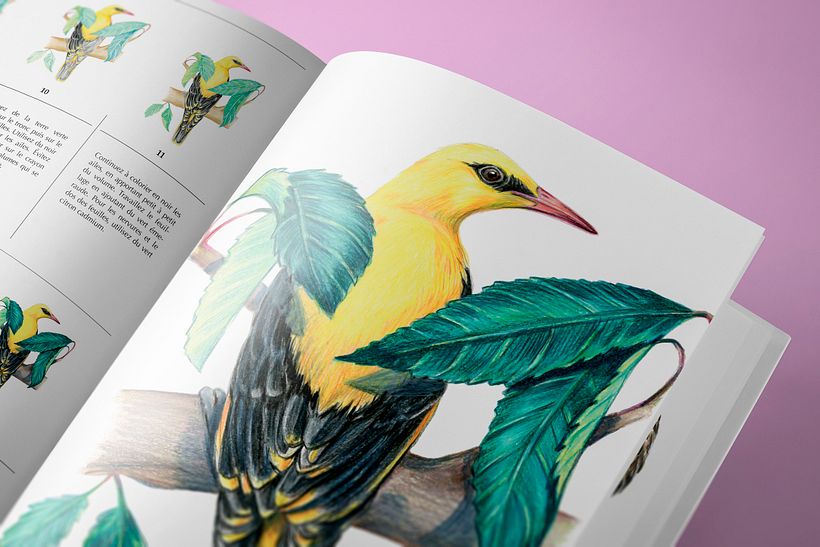 Direction éditoriale coll. Artiste Académie et Beaux-Arts pour la Terre 6