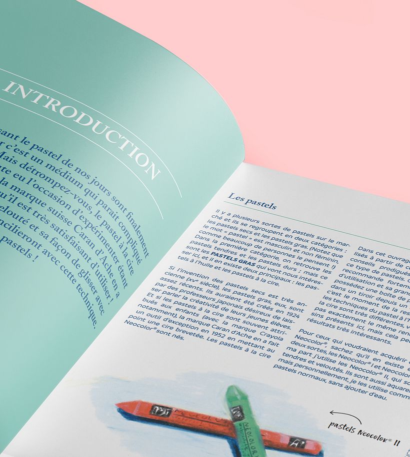 Direction éditoriale coll. Artiste Académie et Beaux-Arts pour la Terre 11