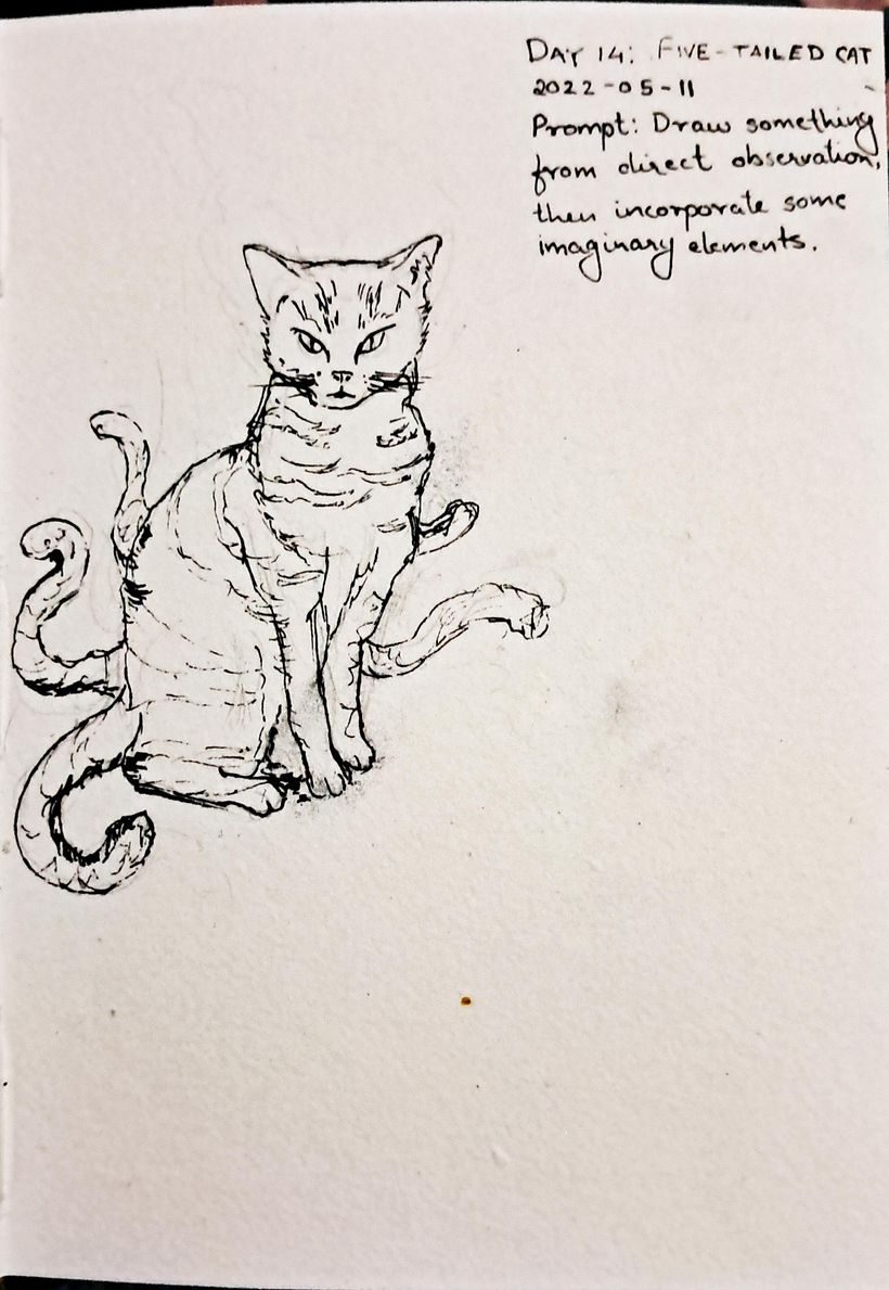Day 14: 5-Tailed Cat; Prompt: Draw something from direct observation and incorporate some imaginary elements