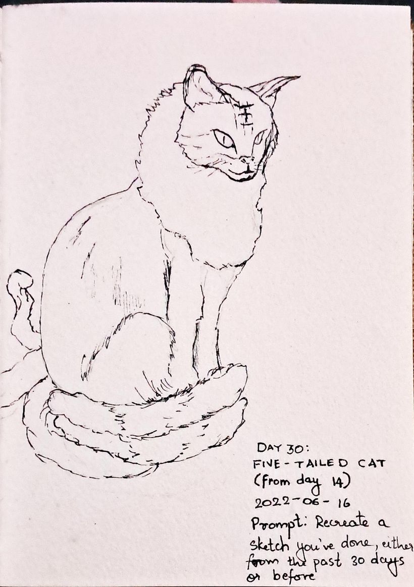 Day 30: Five Tailed Cat (from day 14); Prompt: Recreate a sketch you've done in the past 30 days or before