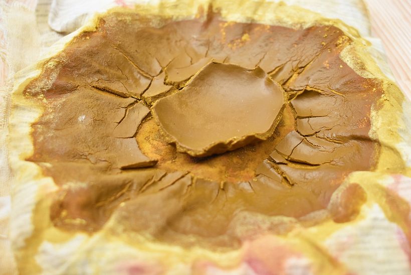 Pigmentos Naturales - Botánicos (Laca) y Térreos 3