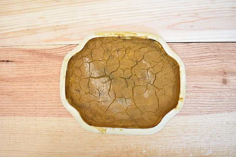 Pigmentos Naturales - Botánicos (Laca) y Térreos 4