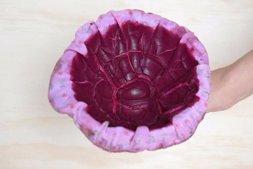 Pigmento laca de Palo de brasil.