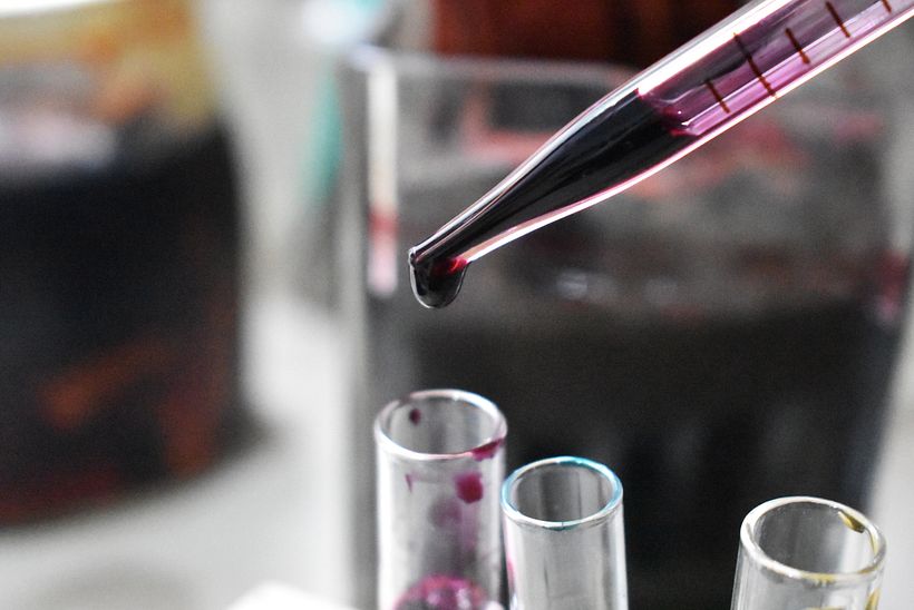 Tintura de Palo de brasil.