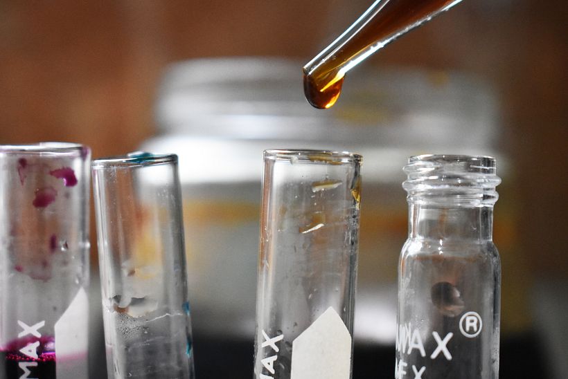 Tintura de Cempasúchil.