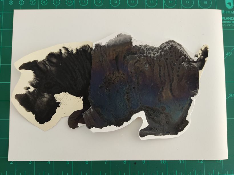 Dejándome sorprender por el rinoOso