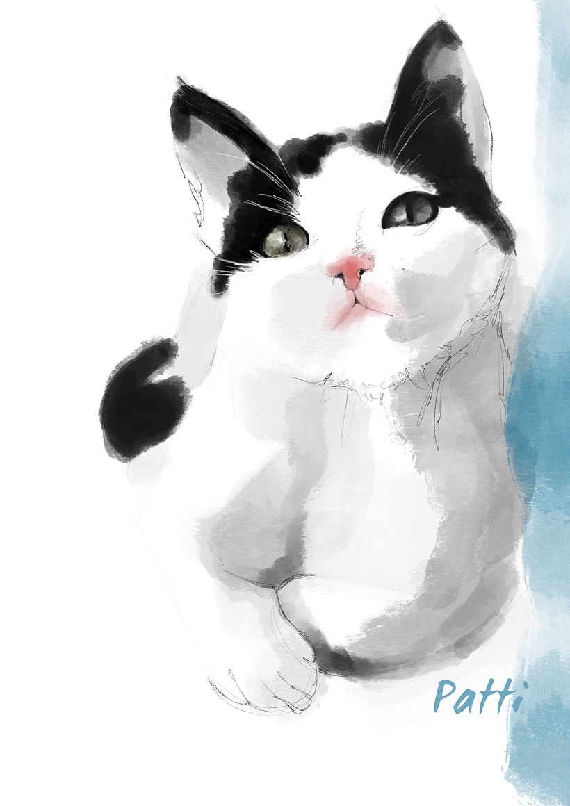 Illustrazione digitale Procreate 2