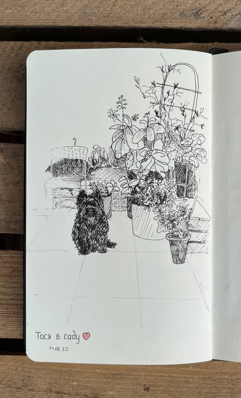 My project for course: Illustrated Diary: Fill Your Sketchbook with Experiences 6