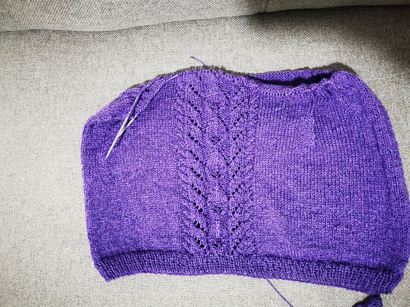 Mi proyecto del curso: Técnicas de tejido: los secretos del punto plano y circular 1