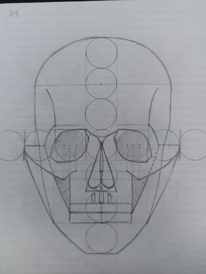 Mi proyecto del curso: Dibujo anatómico para principiantes 4