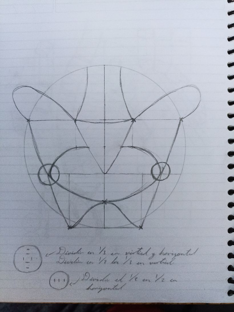 Mi proyecto del curso: Dibujo anatómico para principiantes 7