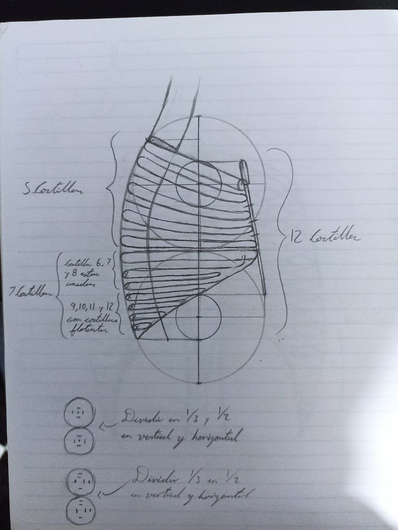 Mi proyecto del curso: Dibujo anatómico para principiantes 10