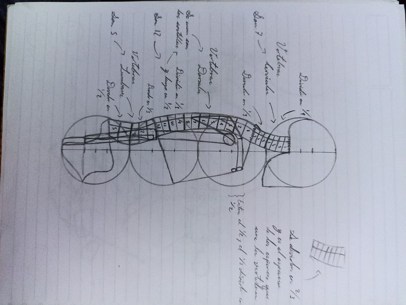 Mi proyecto del curso: Dibujo anatómico para principiantes 12