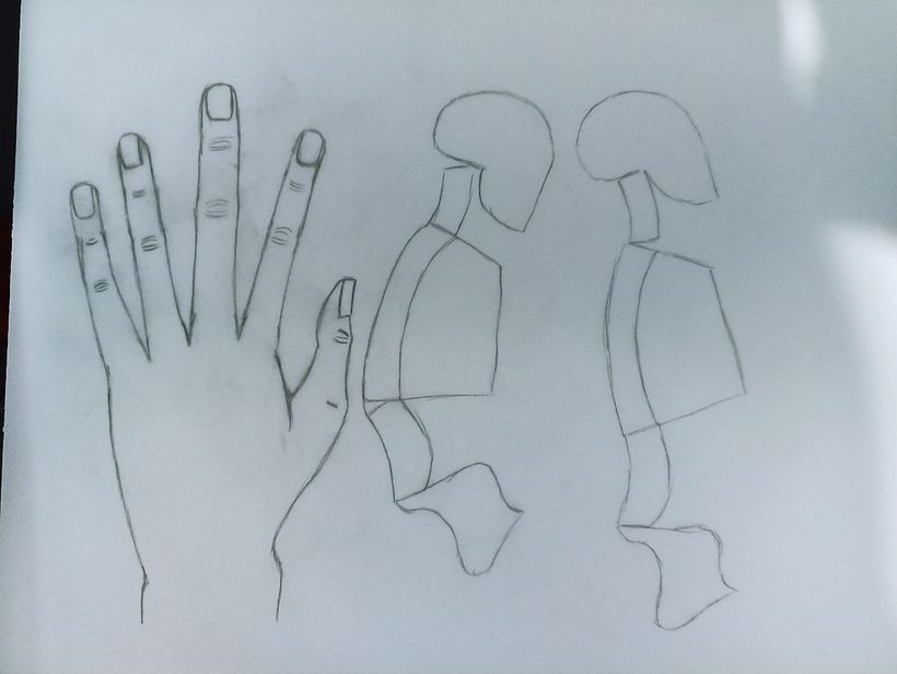 Mi proyecto del curso: Dibujo anatómico para principiantes 16