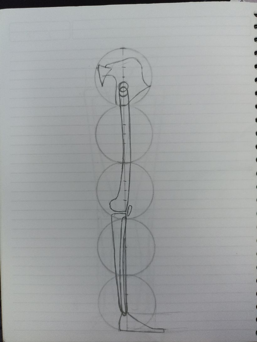 Mi proyecto del curso: Dibujo anatómico para principiantes 17