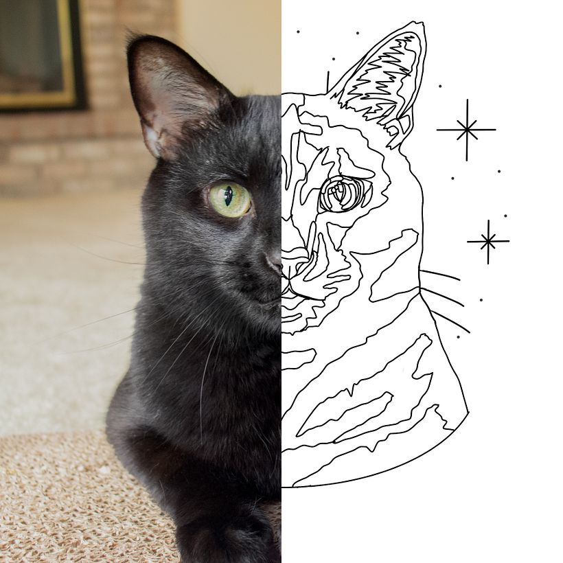 My project for course: Embroidered Pet Portraits: The Thread Painting Technique 3