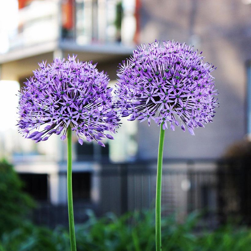 Mi proyecto del curso: Fotografía para principiantes: descubre tu cámara digital 5