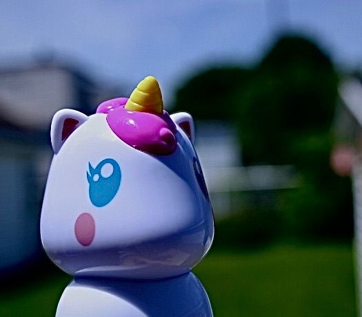 Mi proyecto del curso: Fotografía para principiantes: descubre tu cámara digital 4