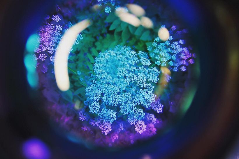 Mi proyecto del curso: Fotografía para principiantes: descubre tu cámara digital 7