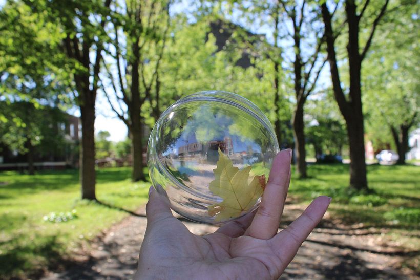 Mi proyecto del curso: Fotografía para principiantes: descubre tu cámara digital 8