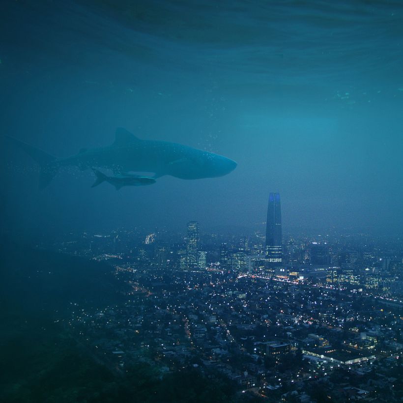 Santiago en un acuario 3