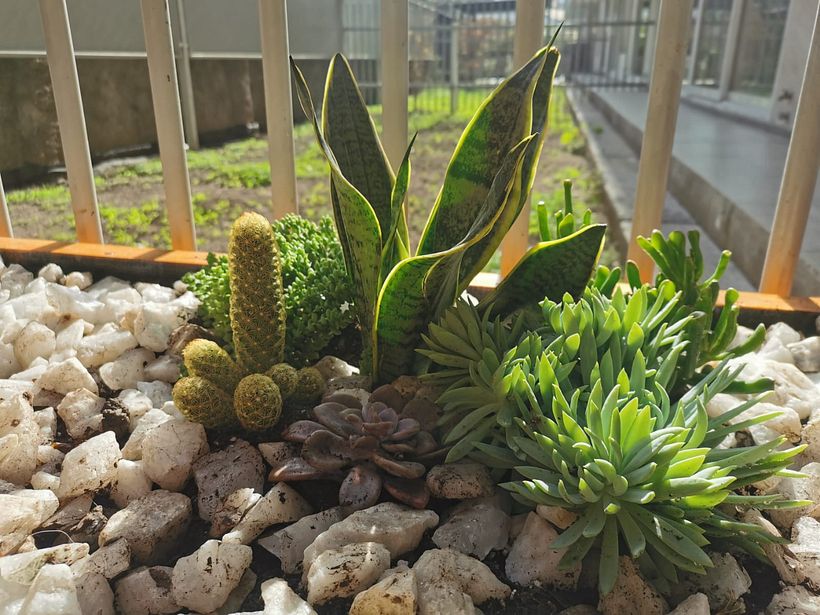 Terraza Jardín Privado 4