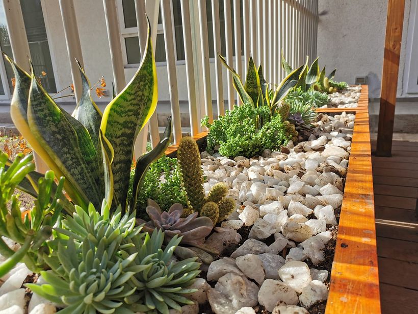 Terraza Jardín Privado 5