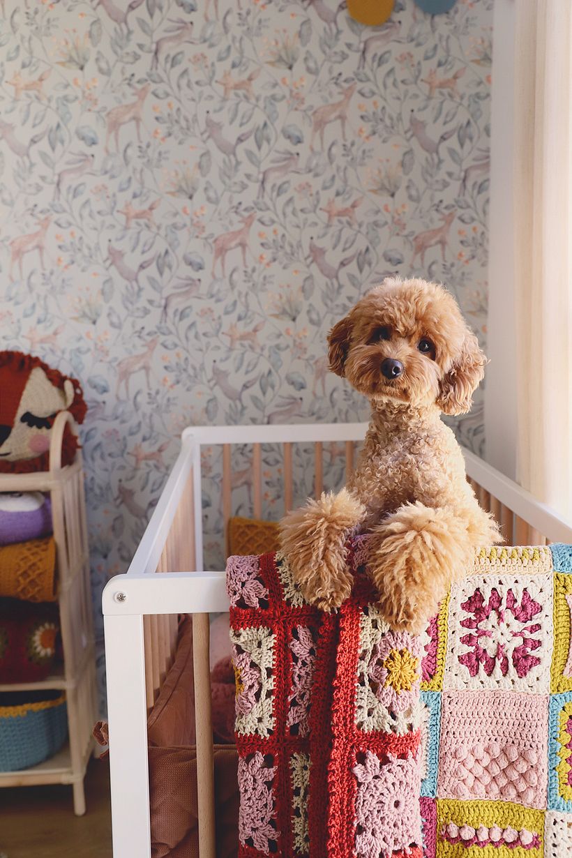 Colección de Fascículos Crochet Creativo con Susimiu 3