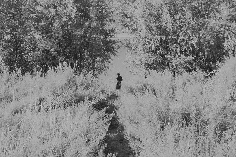 Solo - Fotografia