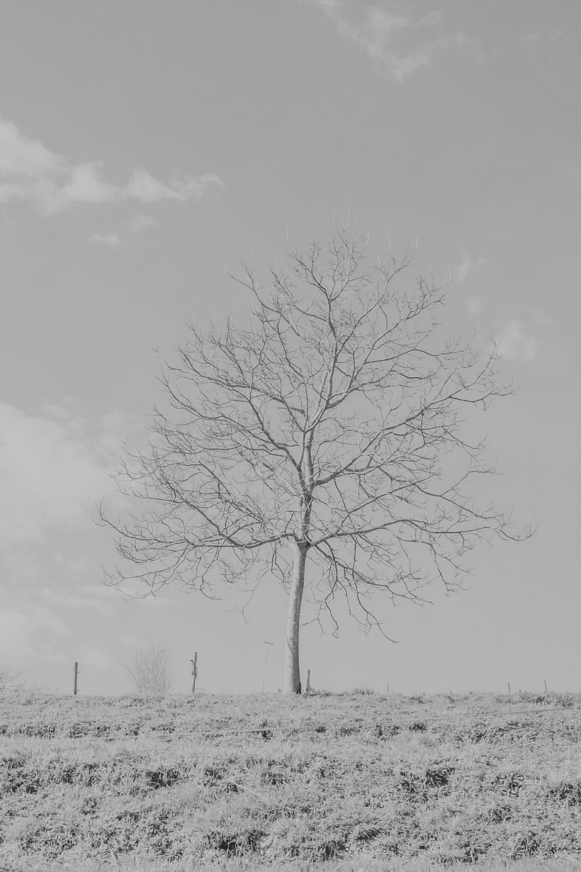 Solo - Fotografia