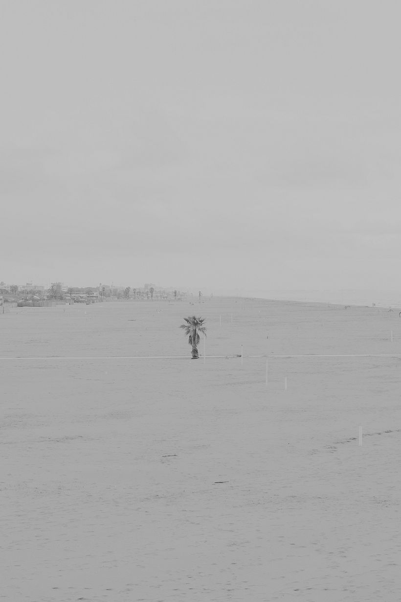 Solo - Fotografia