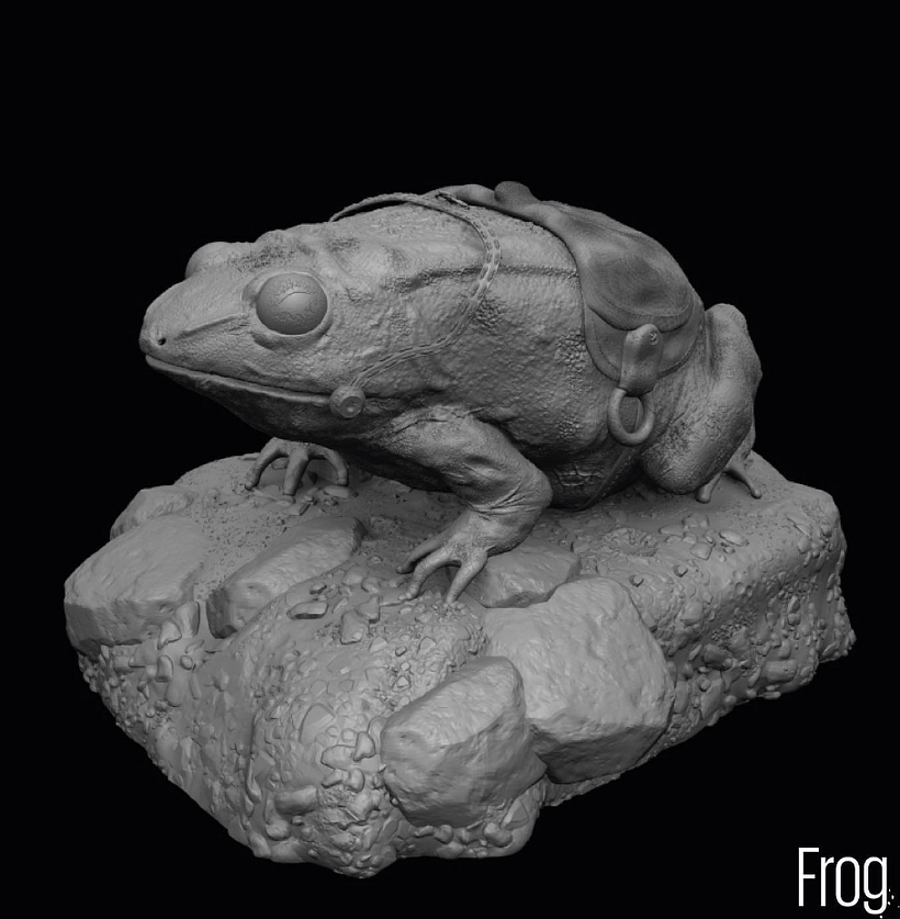Frog 1