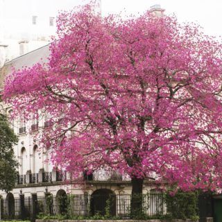 Paseos en la Ciudad 1