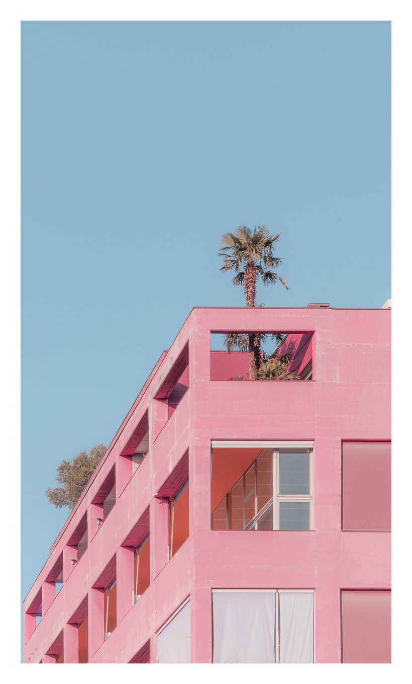 Palm