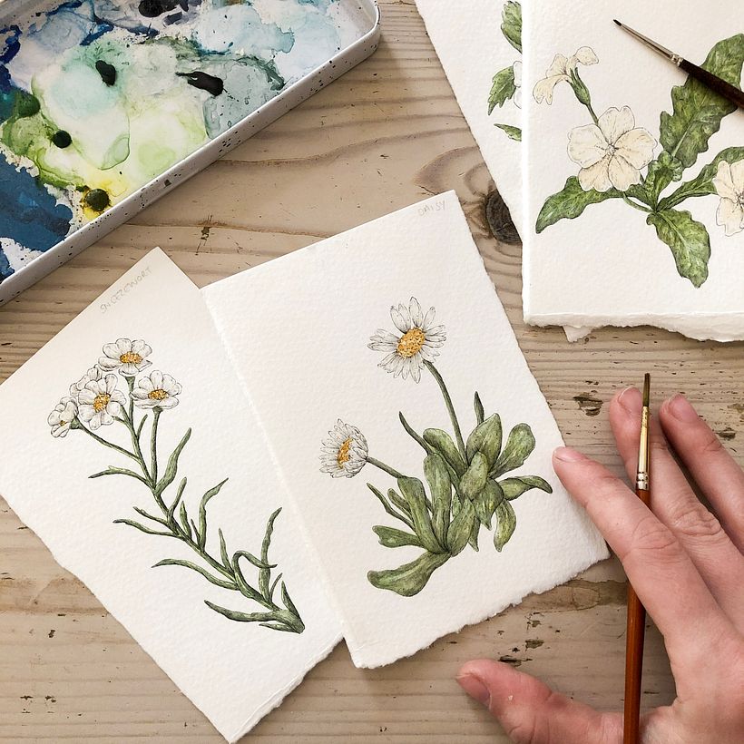 British wildflowers