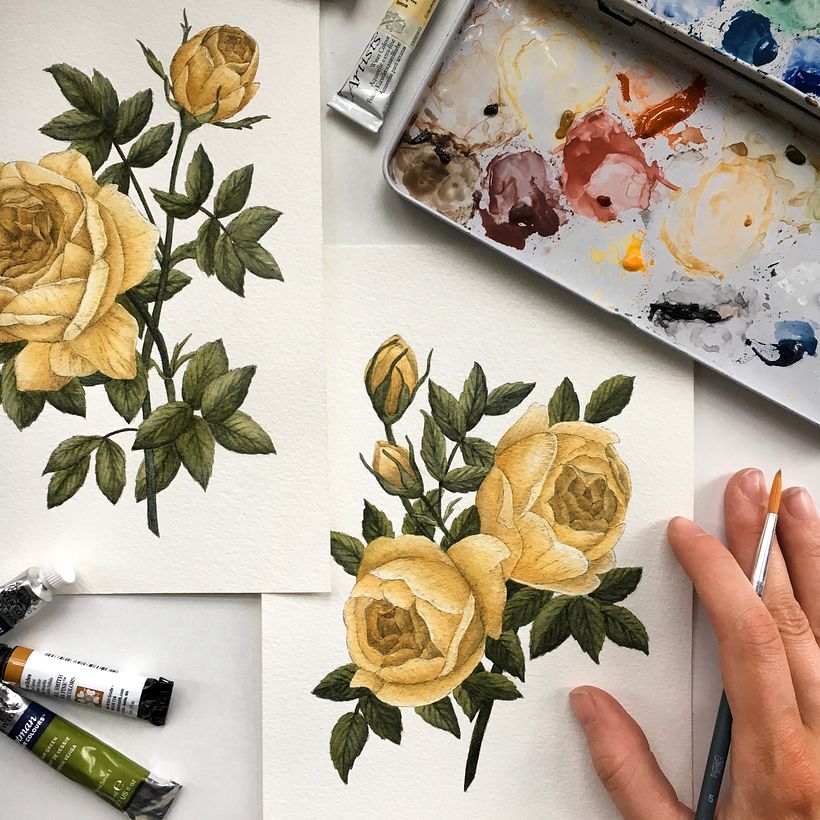 Yellow Roses