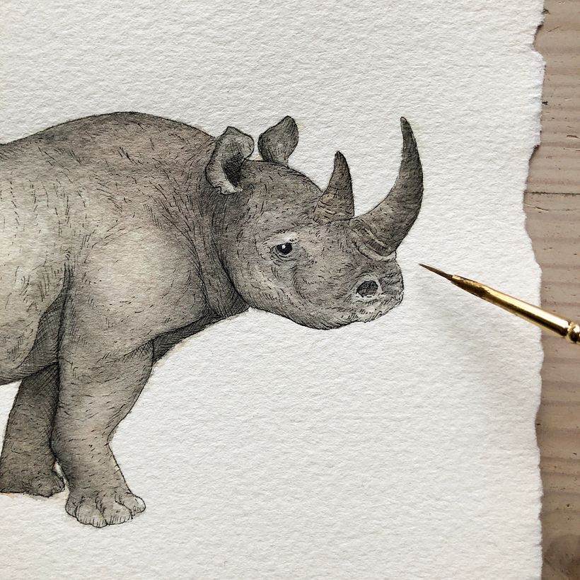 Rhino