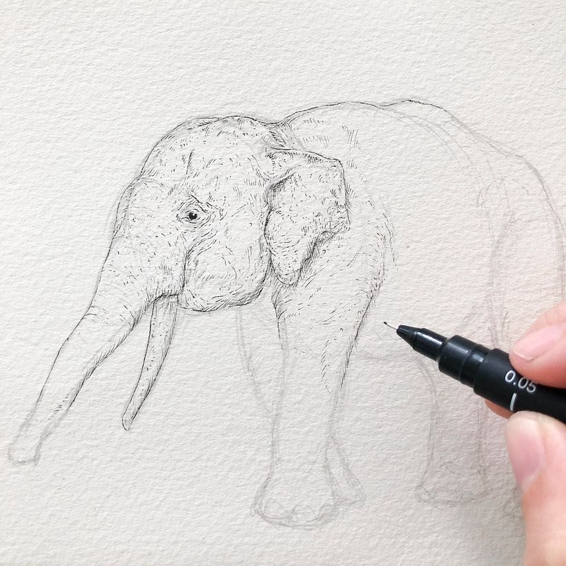 Elephant