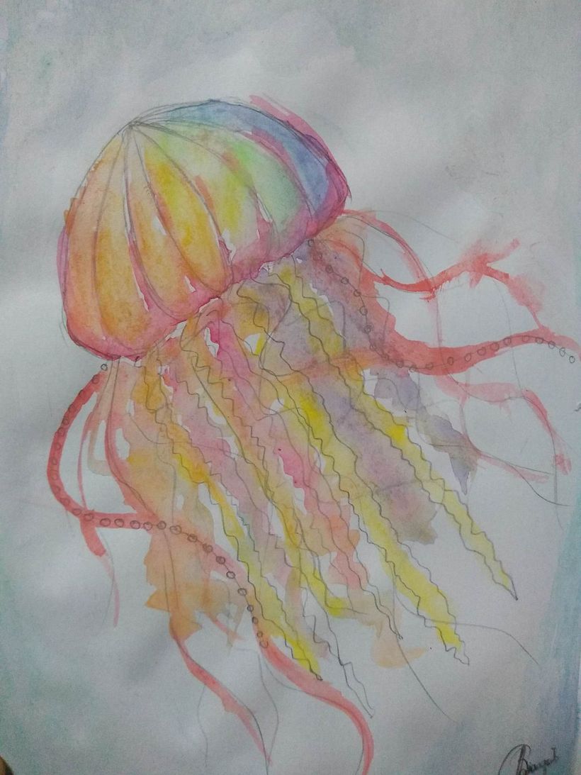 A colorful jellyfish 