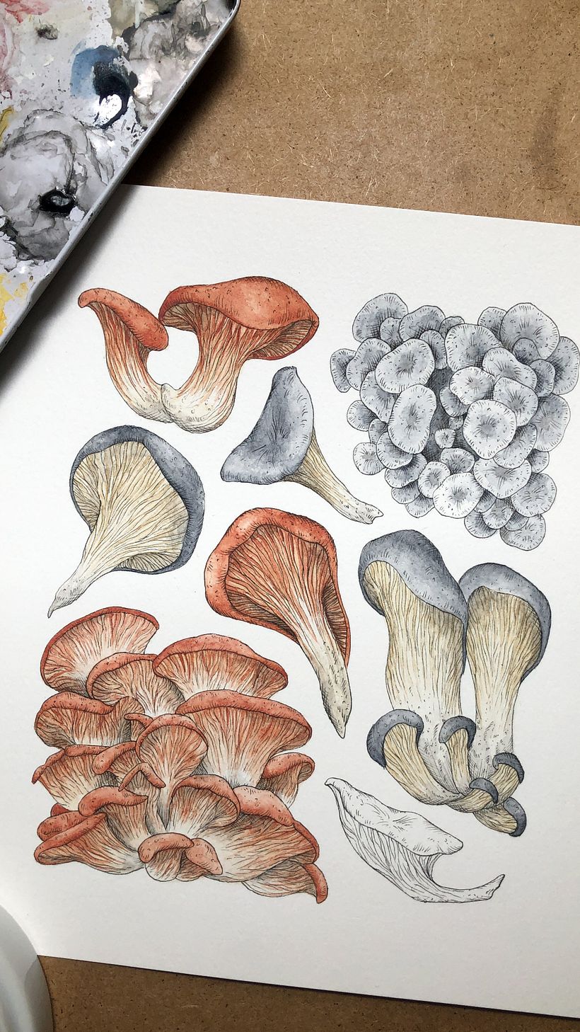 Oyster mushrooms for bloom magazine article