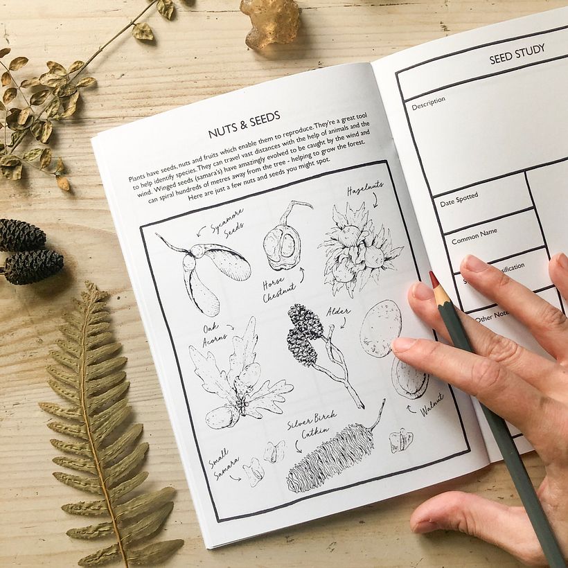 Activity Book